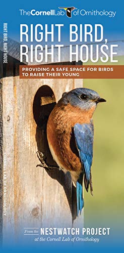 Right Bird, Right House: Providing a Safe Space for Birds to Raise Their