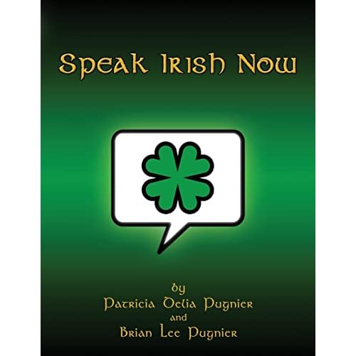 Speak Irish Now