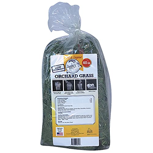 Grandpa's Best Orchard Grass Bale, 40 Oz #TOP2