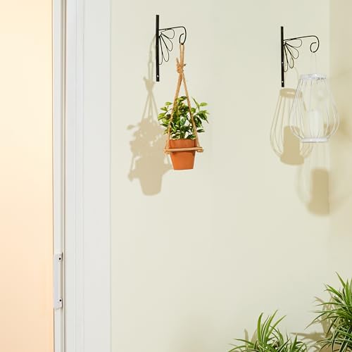 Image of Amazon Brand - Solimo Plant Hanger Brackets Wall Mounted Metal Hanging Hooks /Holder for Indoor Outdoor Planters (Black, Set of 2)