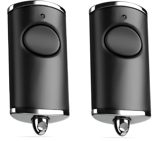 Hörmann - Mando a distancia para puerta de garaje (868 MHz), compatible con HSE1, HSE2, HSE4, HS1, HS4, HS5, HSZ1, HSD2 BS, emisor manual de repuesto para abridor de puerta Hörmann (1 botón 2 stusk)