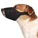Weebo Pets Breathable Nylon Cloth Safety Muzzle (XS)