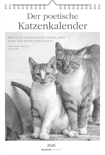 Alpha Edition - Der Poetischer Katzenkalender 2026 – Wochenkalender 21×30 cm mit 53 Katzenmotiven & Zitaten, inspirierender Wandkalender für...
