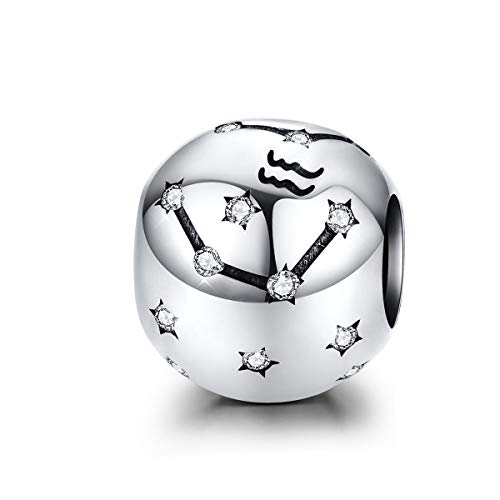 Preisvergleich Produktbild Charm-Anhänger Löwe / Sternzeichenanhänger Sterling-Silber 925 12 Sternzeichen Zirkonia kompatibel mit Pandora Armband und Halskette Wassermann (1,20-2,18)