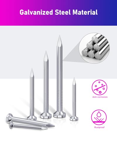 ANVINKU 300 Stück Stahlnägel Set, 5 Größen Nägel Wand, Flachkopf Nagelsortiment, Stahlnägel für Betonwände, Bilder Aufhängen, Heimwerken Handwerk