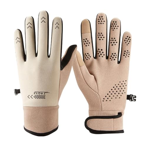 [LEZOOY]  fB[X hh  ] O[u TCNO[u AEghA oR ^b`plΉ ~߉H N TCY x[W