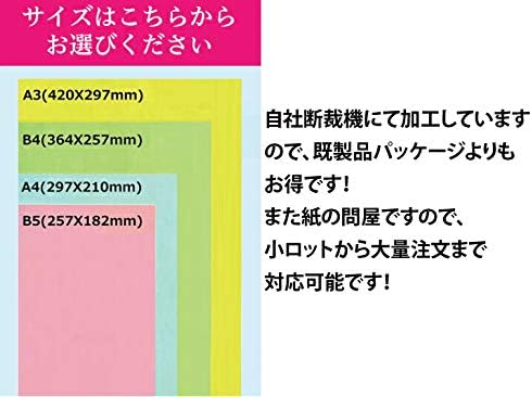 ブンペル 175kg クラフト B4 100枚
