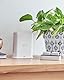 Arlo Zertifiziertes Zubehör, SmartHub, Lokaler Speicher - Micro-SD-Karte, WiFi WLAN 2,4 GHz, Kompatibilität Mit Arlo Kameras Und Klingeln, Konnektivität Apple HomeKit, Ethernet-Kabel, Weiß