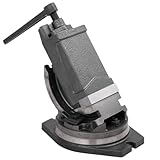 morsa inclinabile usata Colore: grigio vidaXL Morsa Inclinabile a 2 Assi 100 mm