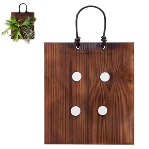 Support de fougère et planche de montage en bois pour décoration murale