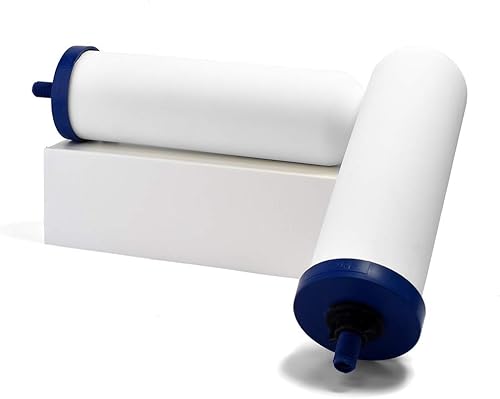 ProOne (Par) G2.0 9 pulgadas de filtro de reemplazo de agua de gravedad, filtro de agua de repuesto Big+ para sistemas de filtración de agua por