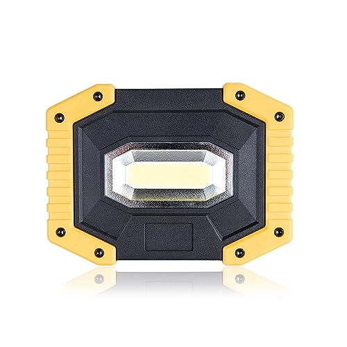 Feux de sécurité haute puissance 30W LED rechargeables pour éclairage de secours