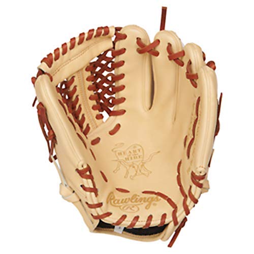 Left Handed Baseball Gloves All You Need to Know With This Top Guide