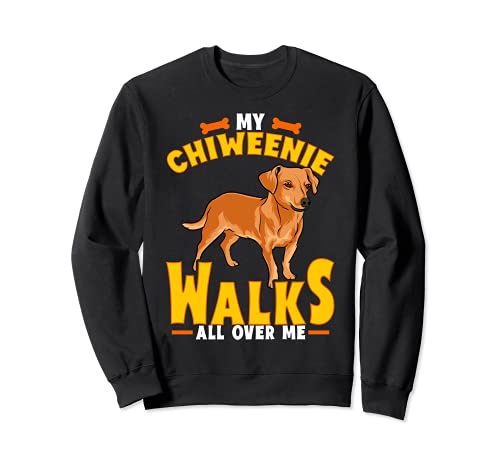Mi Chiweenie Camina Por Todo Sobre Me Lindo Dachshund Chihuahua Mix Sudadera
