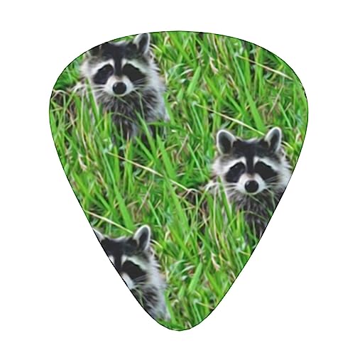 アライグマの絵の草 ギターピック Guitar Pick 12枚セット ティアドロップ型 エレキギター/アコースティックギター/クラシックギター/ベース等の練習に最適な12枚セット