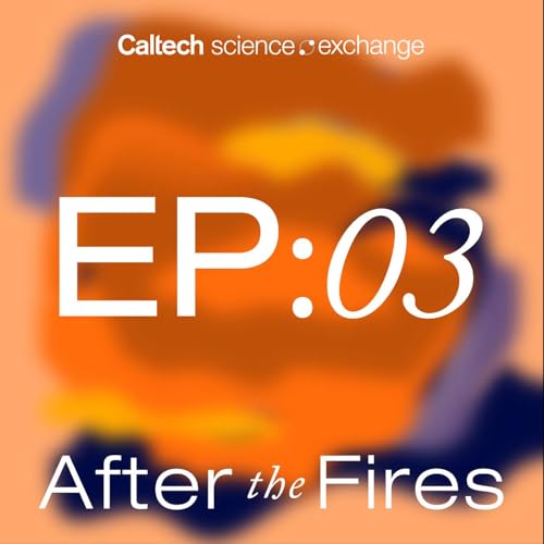 Lead in the Environment, an Update