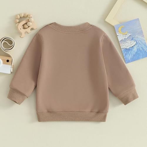 Image of Baby Boy Girl Pumpkin Sweatshirt Tops Toddler Halloween Outfit Long Sleeve Crewneck Pullover Sweater Shirt Fall Clothes