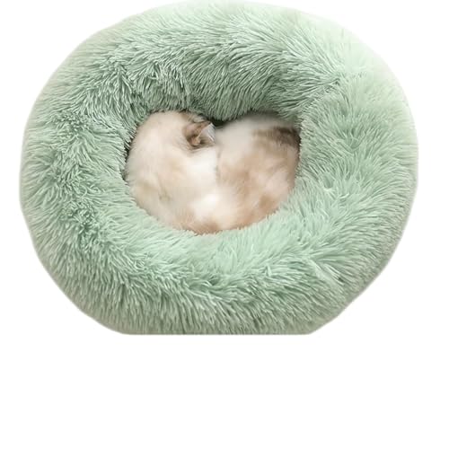 YQWpxbh-h[ic􂦂ybgxbhA~߉~`ӂӂ탂RRlHpxbhAybgɓKĂAL Ì ~ (O[,M [50cmAL͍ő15ҁA͍ő10])