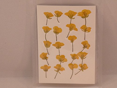 Flower Pack asparation amarillo miniatura 2
