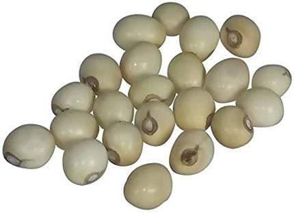 pmw 100% Natural & Rare White Gunja - Swetha Gunja - Rakt Gunja - Gurivanta - White Rosary Pea - Chanoti - Latumoni - 108 Pieces, 100 Gram