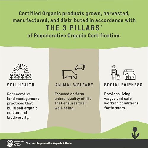 Groundwork Organic Regenerative Nicaragua Whole Bean