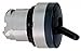 Metal Toggle Switch Operator, Type of Operator: 2-Position Toggle Switch, Size: 22mm, Action: Mainta
