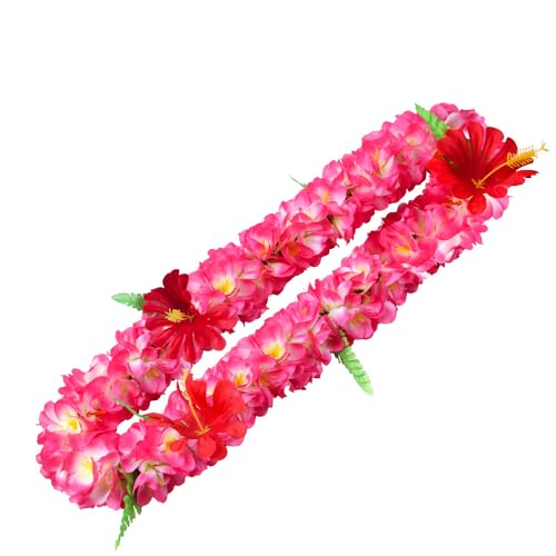 nCA AE t[ C lp W{ lbNX }n t[ C Ǝ  C(Jt-13)