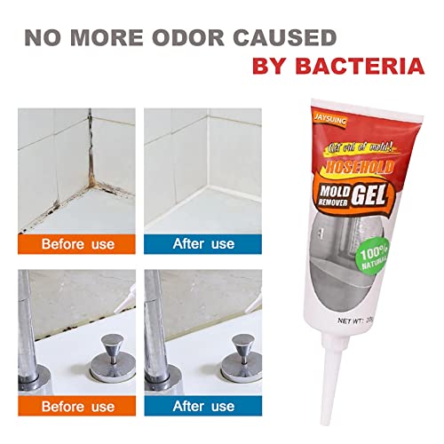 Best mould remover Best of Review Geeks