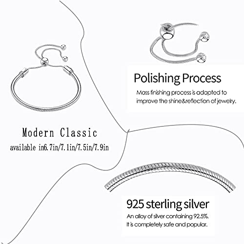 Image of Charm Snake Pattern Bracelet S925 Sterling Silver 18k Gold Plated, Rose Gold Snake Pattern Pandora Bracelet, Gift for Women