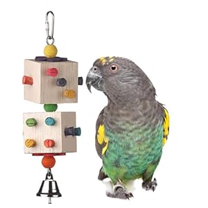 Super Bird Creations SB1103 Parrot-Dice Bird Toy – Ideal for Parrot Medium Conures Cockatiel – Perfect for Chewing & Boredom Relief – Enriching Parrot-Dice Toy for Medium Bird Size, 9″ x 2.5″ x 2.5″