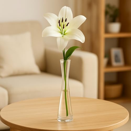 Image of ecofynd Glass Vase for Flowers Plants, Modern Decorative Vase for Home Decor Center Table, Bedroom, Living Room, Office Decoration, Wedding or Gifts, Luster Glass Vase, (GVASE016)