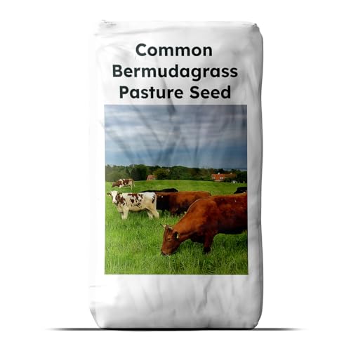 Outsidepride Forage Bermuda Seeds - 50 lb. Perennial, Drought Tolerant & Fast-Growing, Pasture Seeds for Planting Large Grass Leaves, Ideal for Hay Foraging & Rotational Grazing