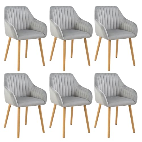 Goeurvant Chaises Velours Gris Salle à Manger avec Accoudoirs Lot de 6 Chaises Fauteuil rembourrée avec Pieds en Bois pour Salon Cuisine et Bureau