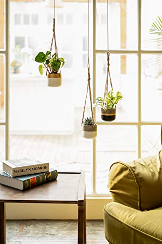 Dahey 3 Pack Small Cement Hanging Planter Succulent Pots With Jute Rope Hanger Modern Mini Concrete Flower Pots Indoor For Cactus Herb Or Small Plants Home Decor, 3 Inch #TOP1
