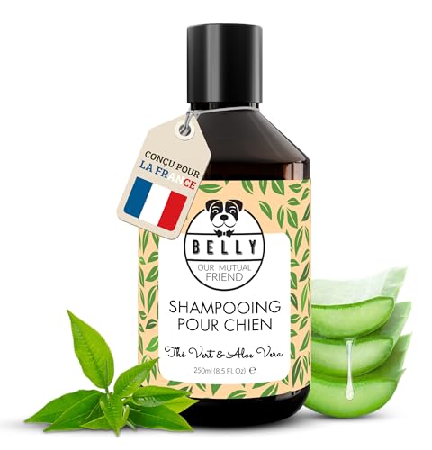 Belly® Shampoing Chien Anti Odeur - 250ml - Arôme de Thé Vert - pH Équilibré - Végan - sans Silicone ni Paraben - Shampoing pour Chien Hydratant et...