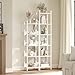 MAHANCRIS Bookshelf, 5-Tier Bookcase, Standing Book Shelf for Small Space, Storage Shelf Organizer, for Living Room, Bedroom, Study, Balcony, White BKBW5501