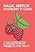 Produktbild Magic Mirror Raspberry Pi Guide: A Collection Of Projects For The Pi: Raspberry Pi Models