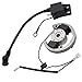 Glenparts Ignition Coil Stator Rotor Kit for KTM 50 SX Pro Senior Junior LC 2001 2002 2003 2004 2005 OEM for Flywheel Stator 45139004000 50SX Junior 2006 2007 50 Senior Adventure 2003