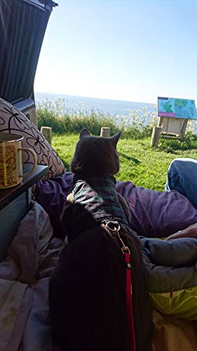 Mynwood - Giacca per gatti, colore: Nero