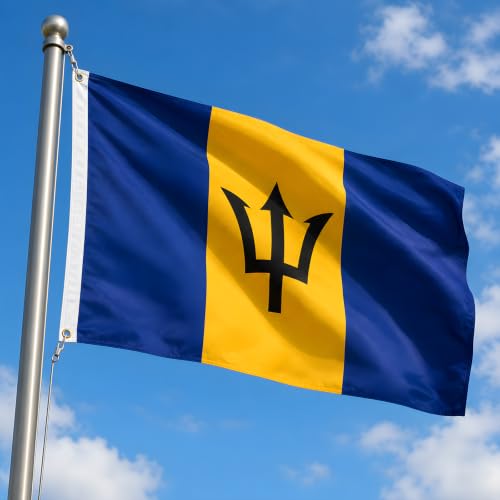 Image of AhfuLife Barbados Flag 3x5 Ft, Large Flag of Barbados for Outside - Double Side with Brass Eyelets for Olympic Party Decorations, Soccer Party Decoration Bar Garden Street Decoration Indoor Outdoor