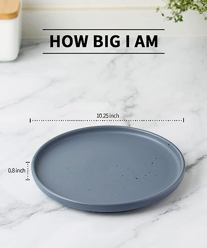 Famiware Dinner Plates Set Of 6, 10.25 Inch Large Plate Set, Kitchen Porcelain Serving Dishes With Spots, Scratch Resistant, Microwave, Oven, And Dishwasher Safe, Charcoal #TOP3