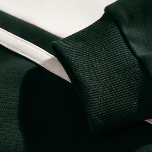 Men's Sweatshirts Patchwork Color Long Sleeve Lapel Collar Sweatshirts Casual Loose Lightweight Fashion Sweatshirts4