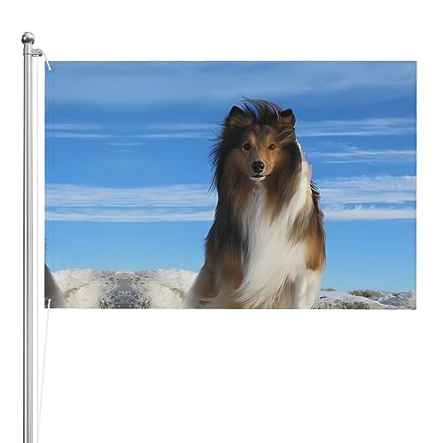 Drapeau de chien Shetland pour égayer votre pelouse et accueillir vos invités avec humour