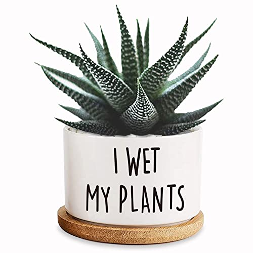 Best I Wet My Plants Pot A Revolutionary Way To Keep Your Plants Alive