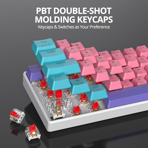 Image of Protable 60% Percent Gaming Keyboard Mechanical, Mini Compact RGB Backlit 61 Keys Wired Office Keyboard with red Switch for Mac /Win (Zhi /red Switch)