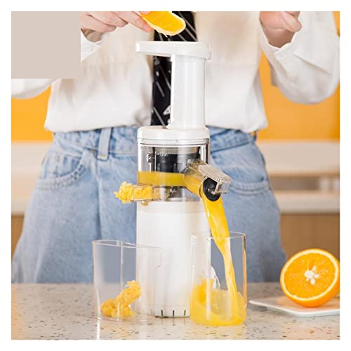 MIIKHI Portable Electric Juicer Blender Water-free Juicer Masticating Slow Auger Juicer Machine Fruit Vegetable BJ08 (Size : E) ()