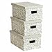 Kanguru Lavatelli, Conjunto De 3 Cajas En Cartón, Gris/Blanco, 29x51x21 cm, Flores