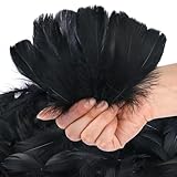 600 Pcs Feathers for Crafting, 3-5 inch Craft Feathers Assorted Colors, Goose Feathers for Crafts, Feathers Bulk for The Kids, Dream Catcher, Costume, Mask, Hat, Angel Wings, Decor - Black