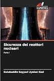 reattori chimici alimentari  Sicurezza dei reattori nucleari: Parte I