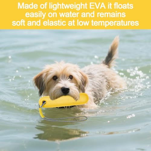 Hundespielzeug, Wasserspielzeug Hund, 22CM Schwimmspielzeug Hunde, Interaktives Hundespielzeug, Hunde Spielzeug Schwimmend mit Nylon Rope für Mittelgroße Große Hunde Trainieren Apportieren im Wasser